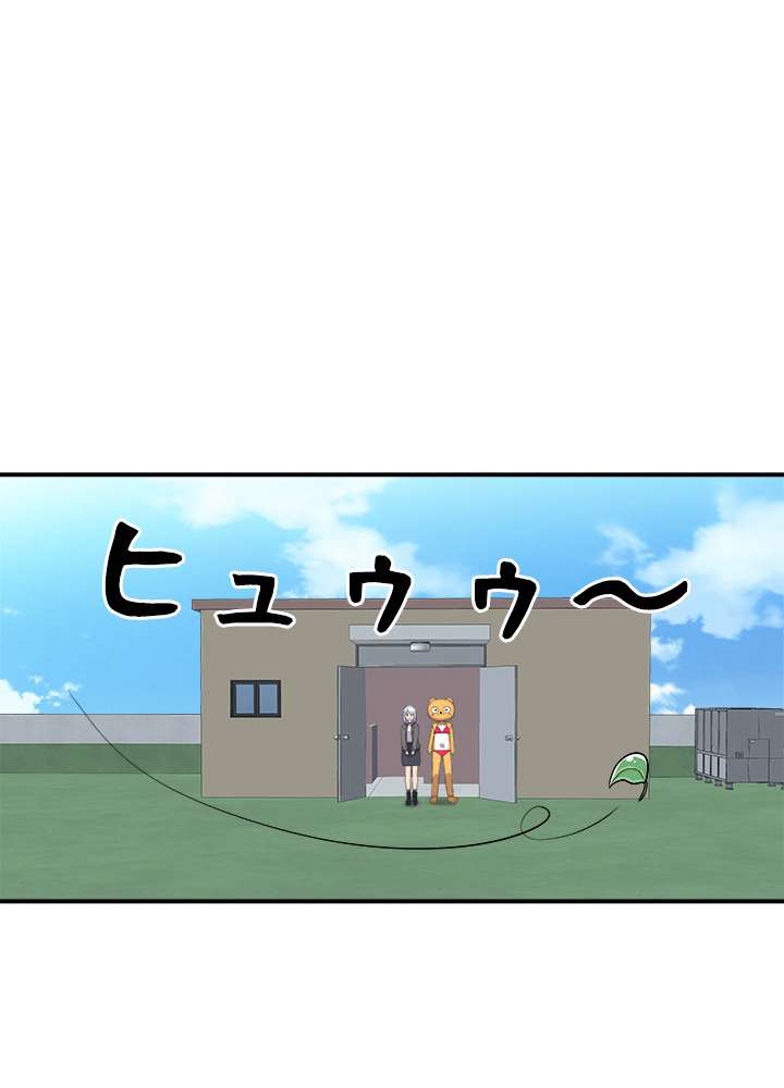 P47