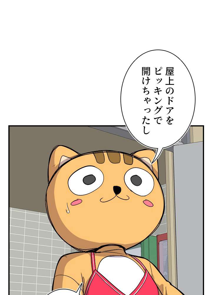 P48