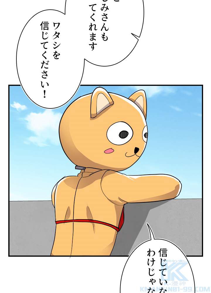 P61