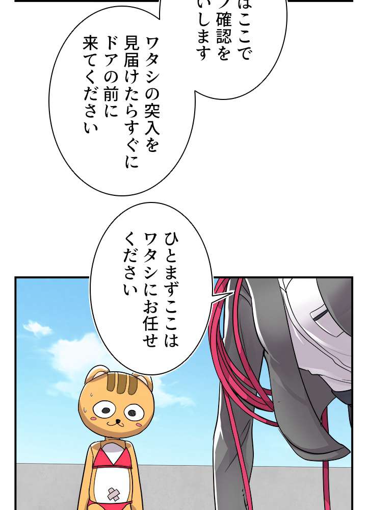 P66