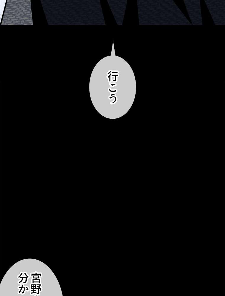 P53