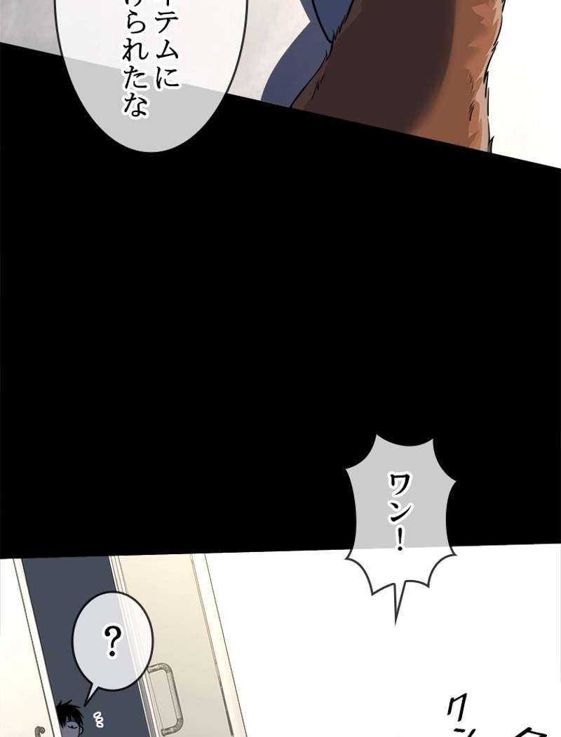 P44