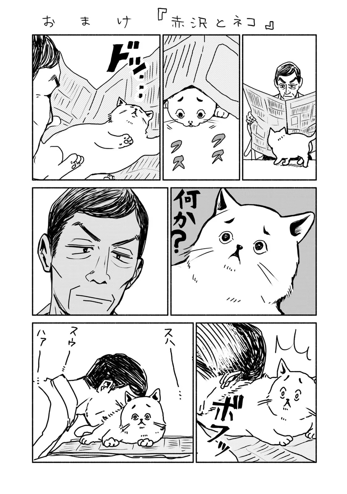P34