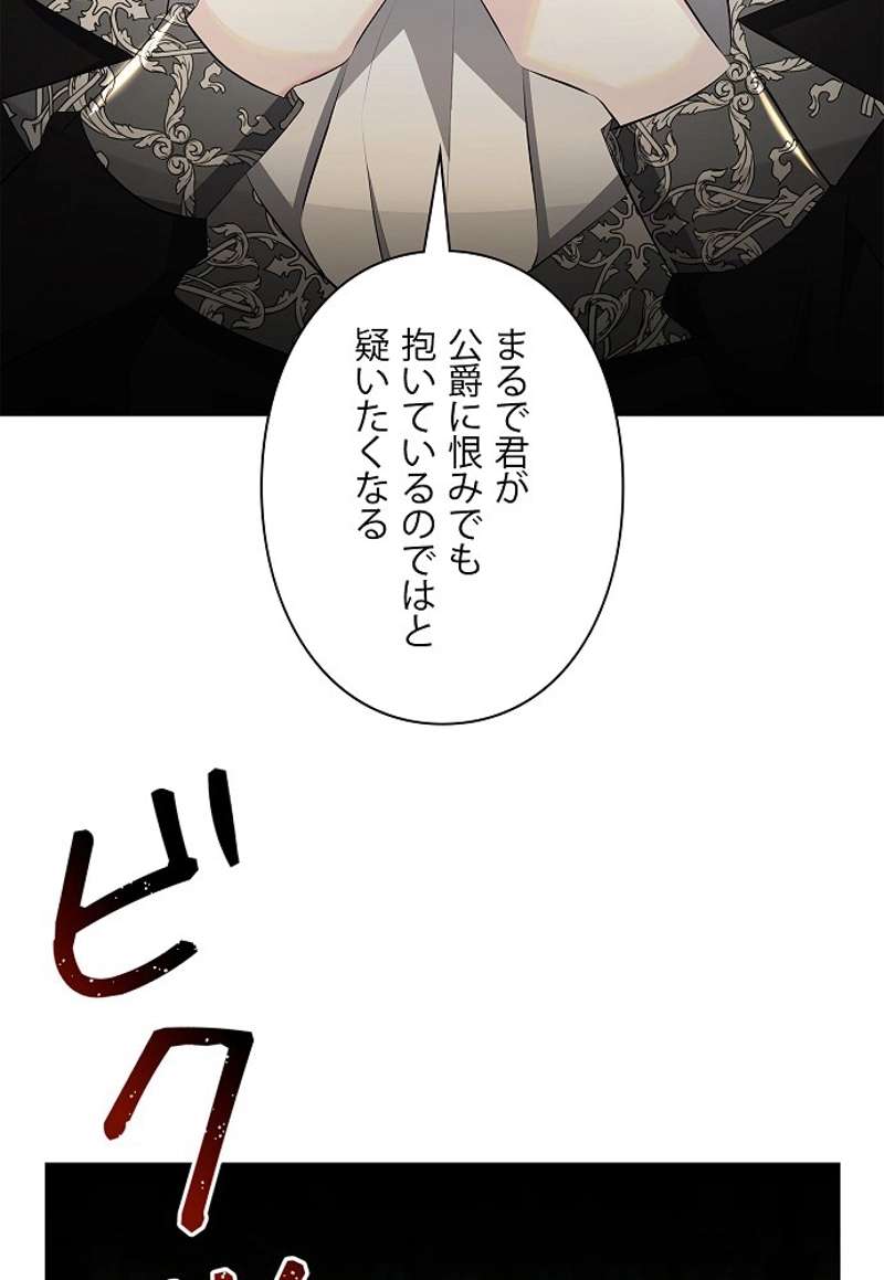 P53