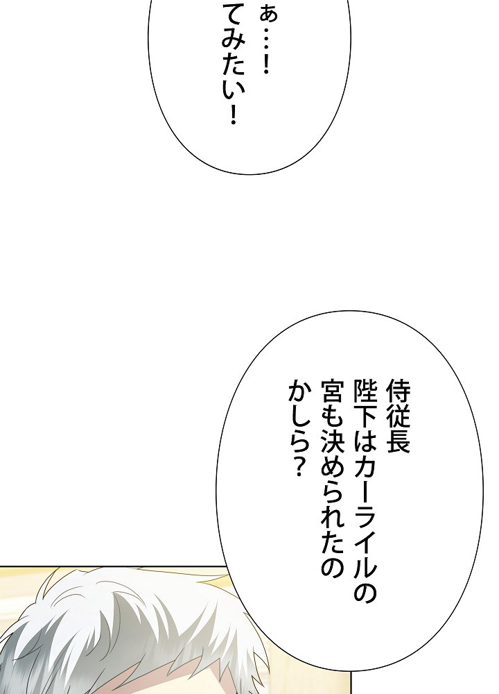 P58