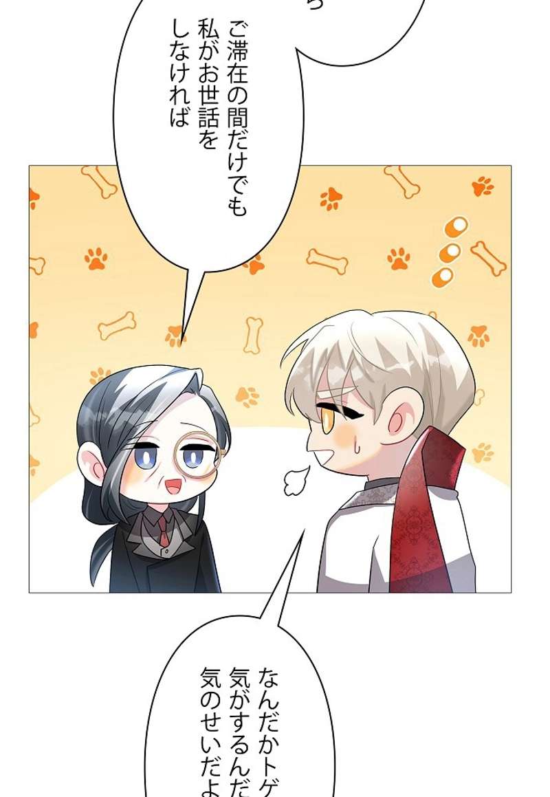 P63