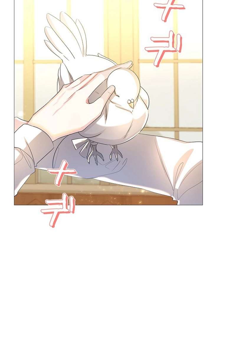 P42