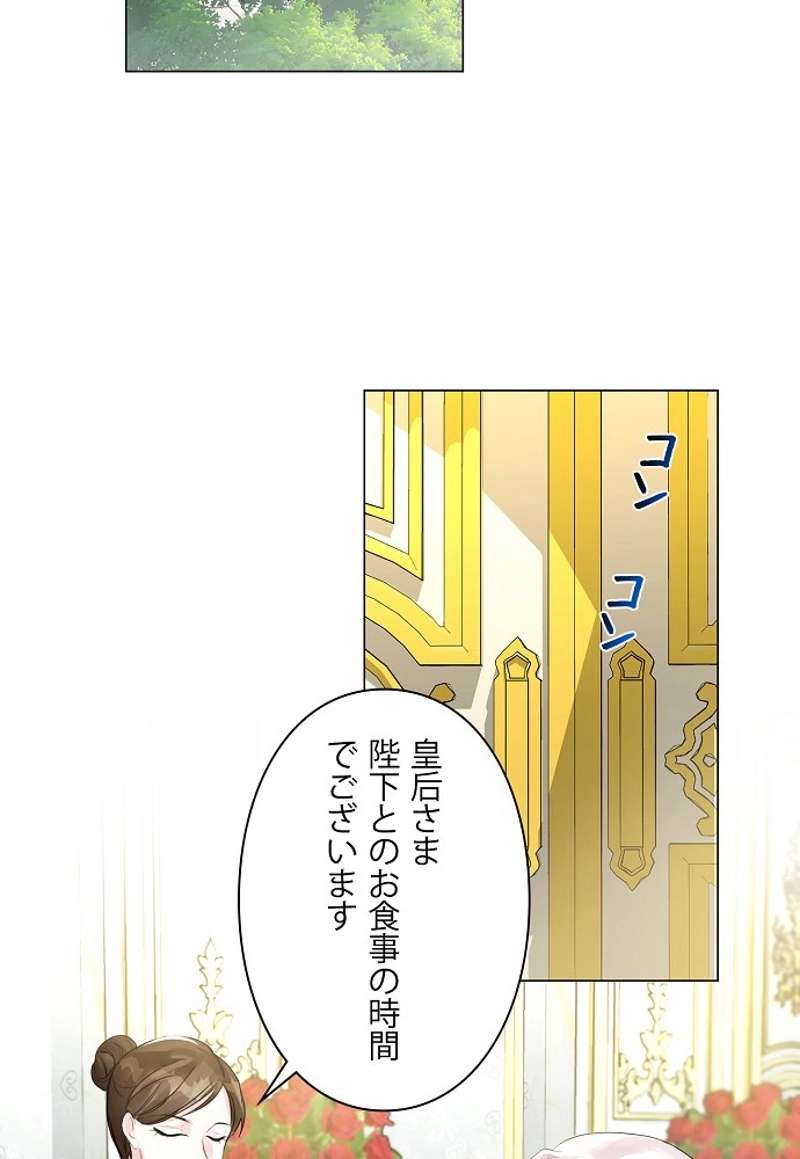 P53