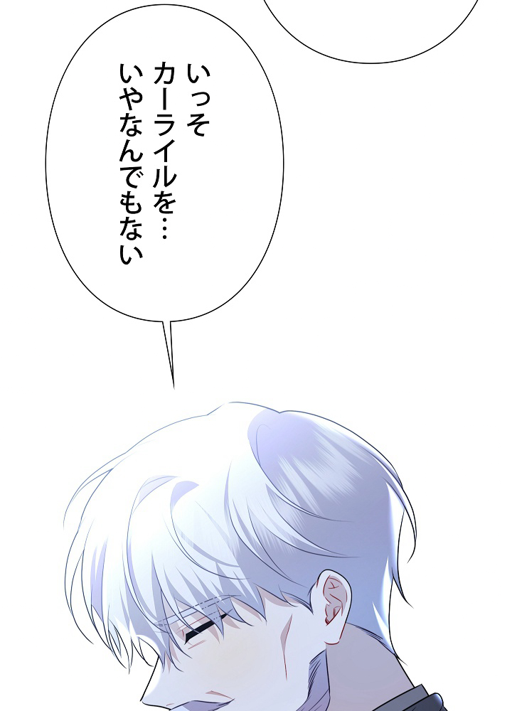 P61