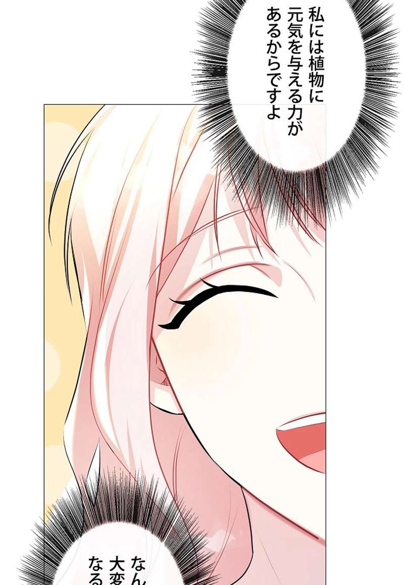 P24