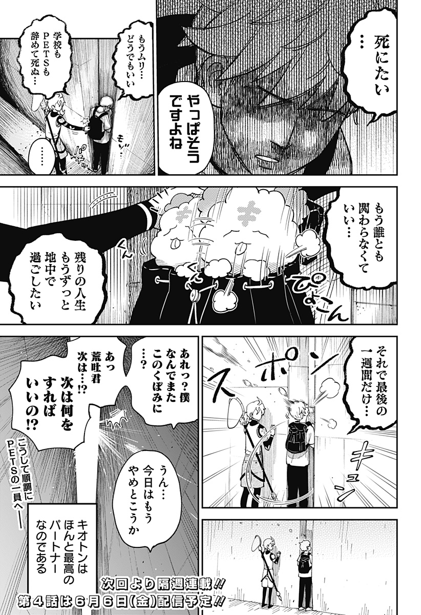 P23