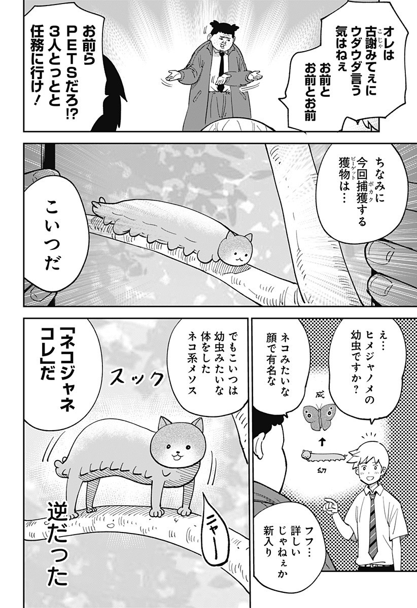 P8