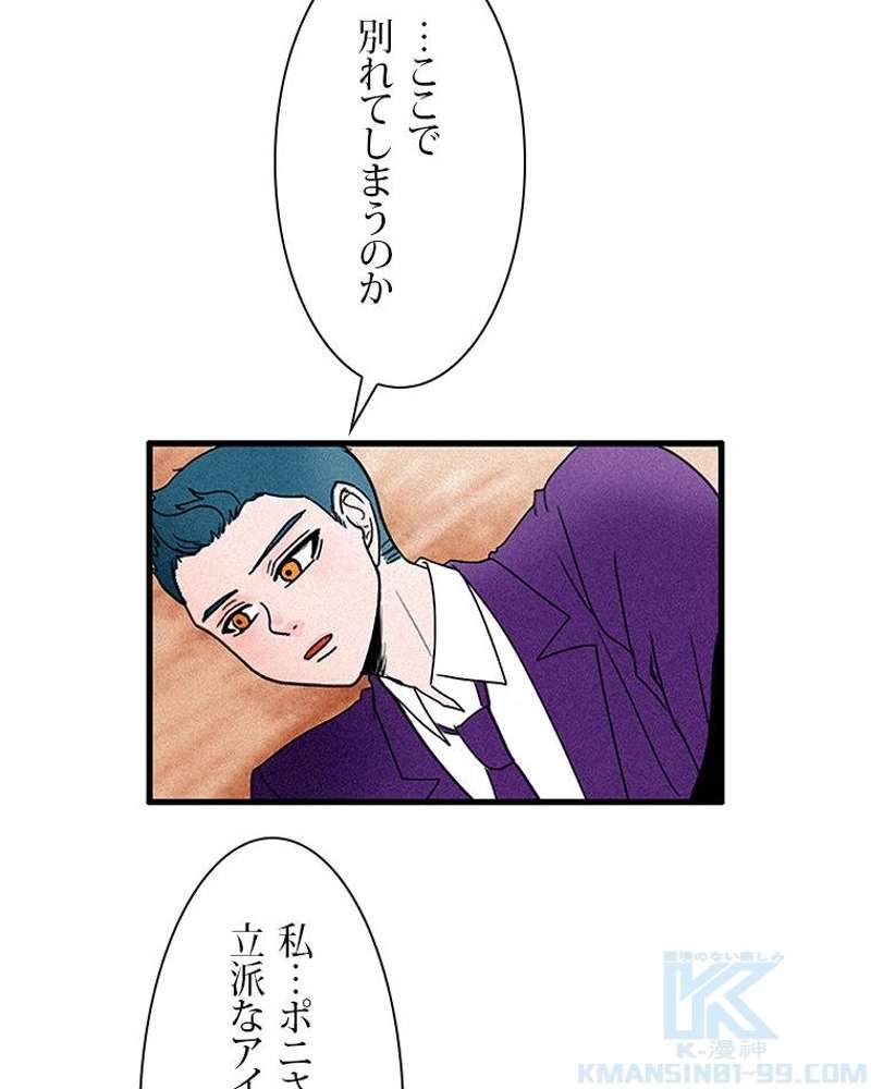 P61
