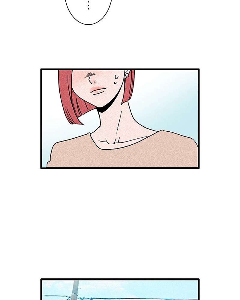 P66
