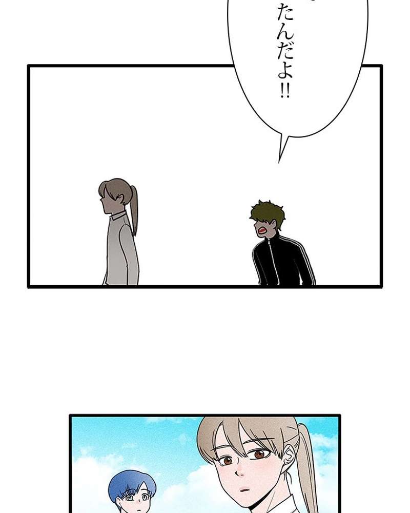 P53