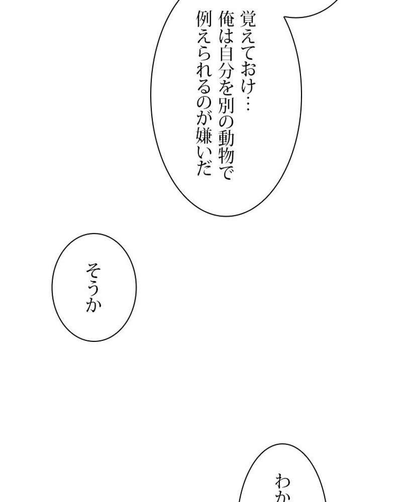P53