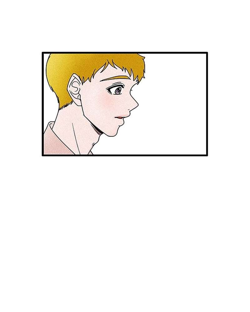 P53