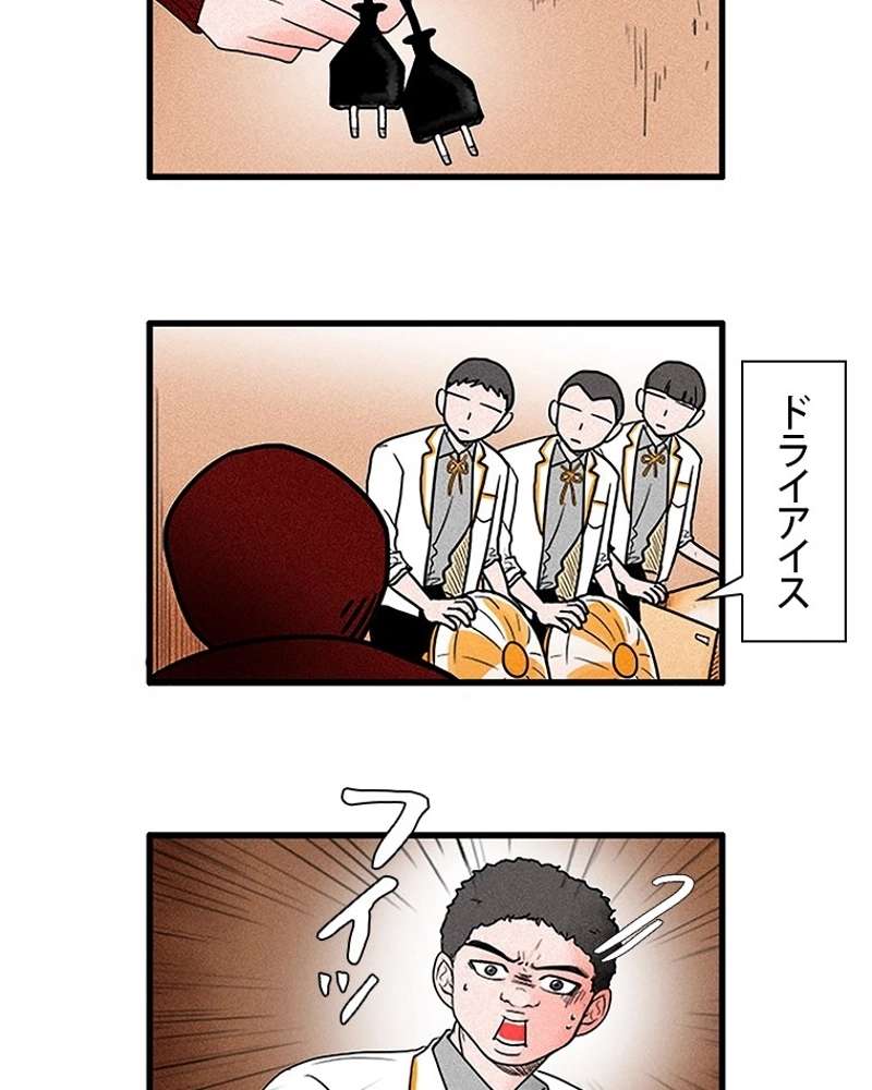 P53