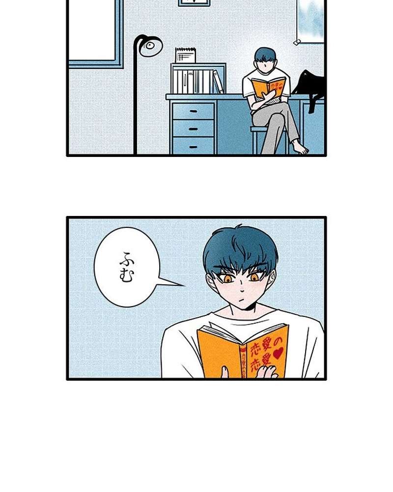 P53