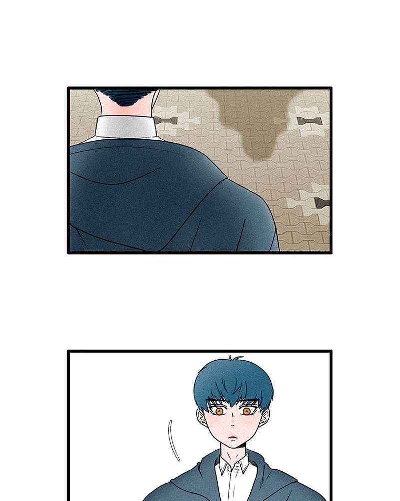 P51