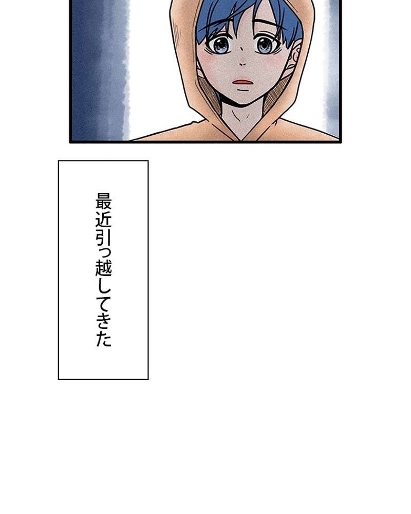 P53