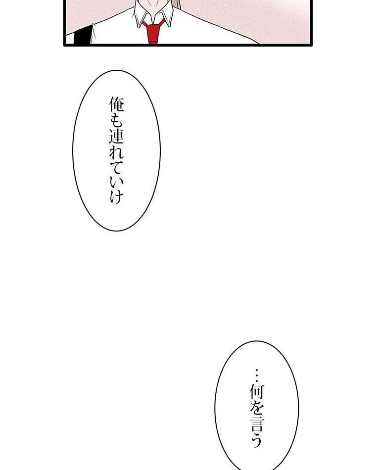 P41