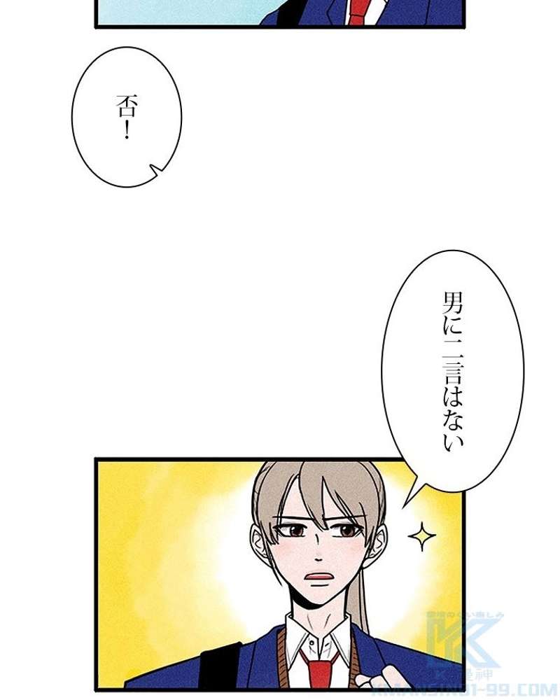 P61