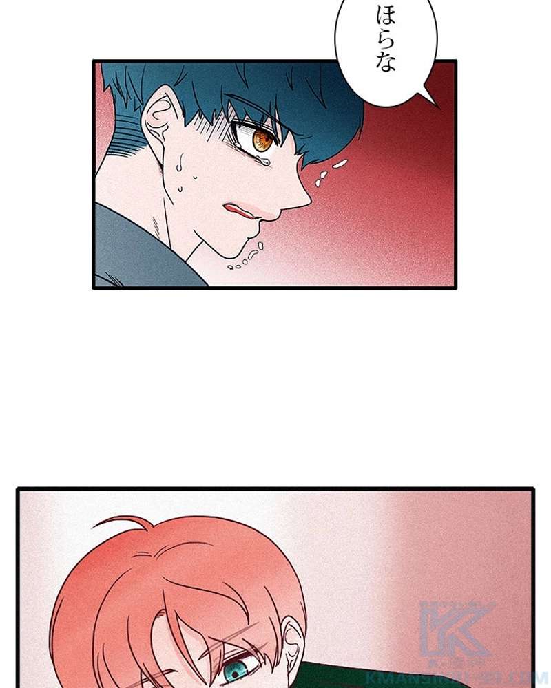 P64