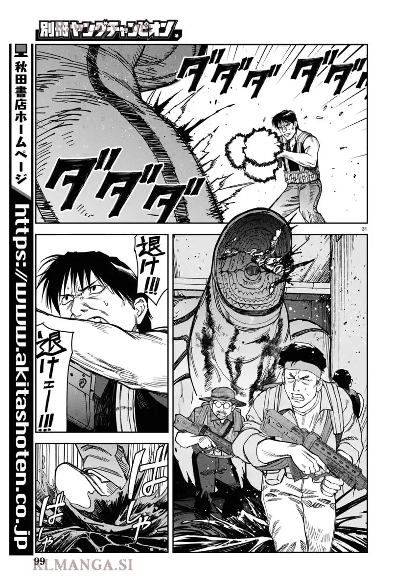 P31