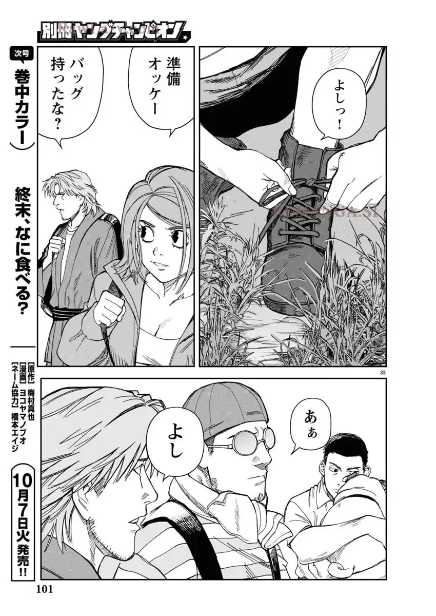 P33