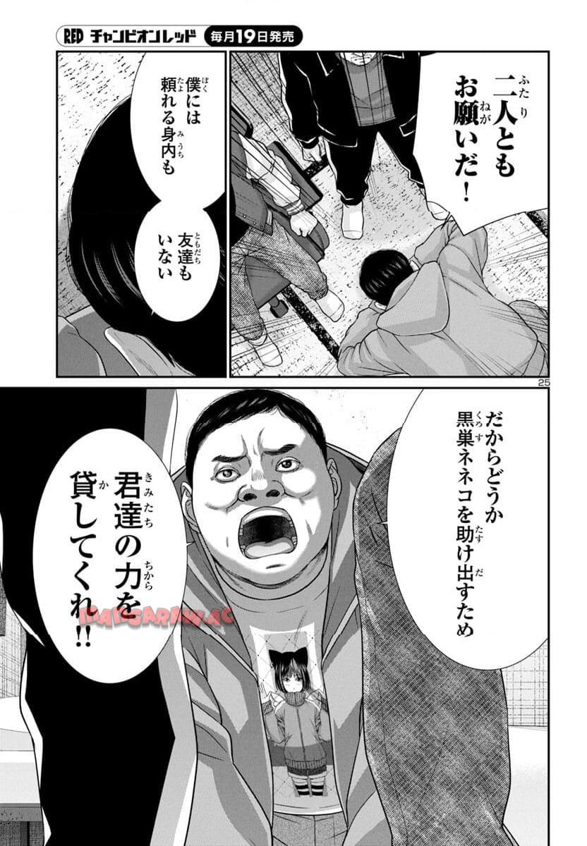 P26