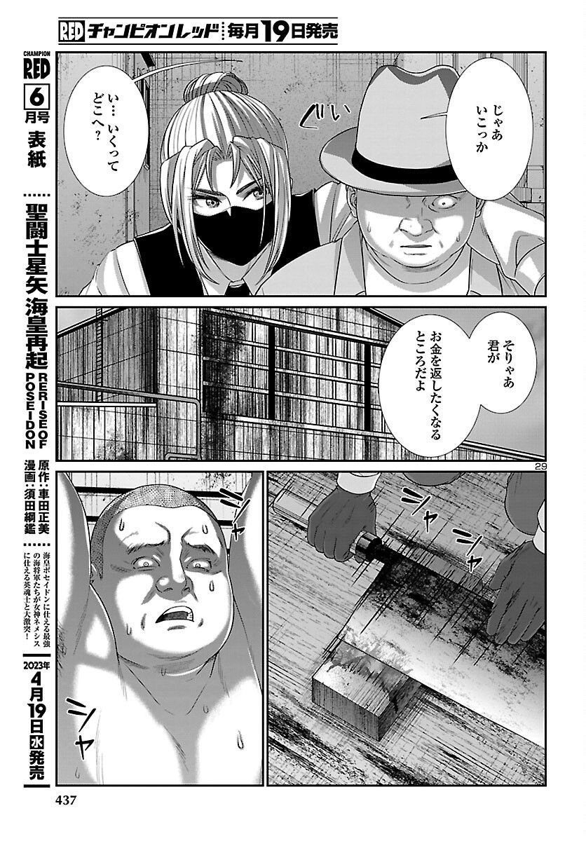 P29