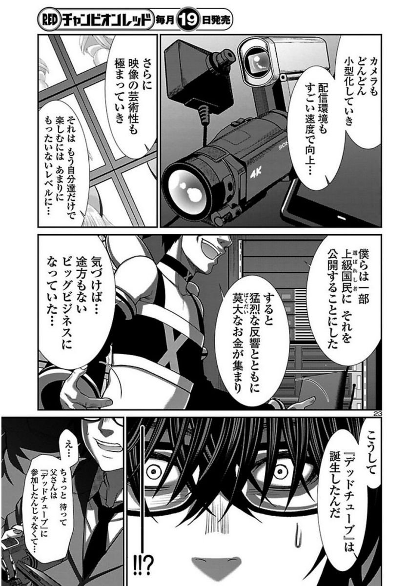 P23
