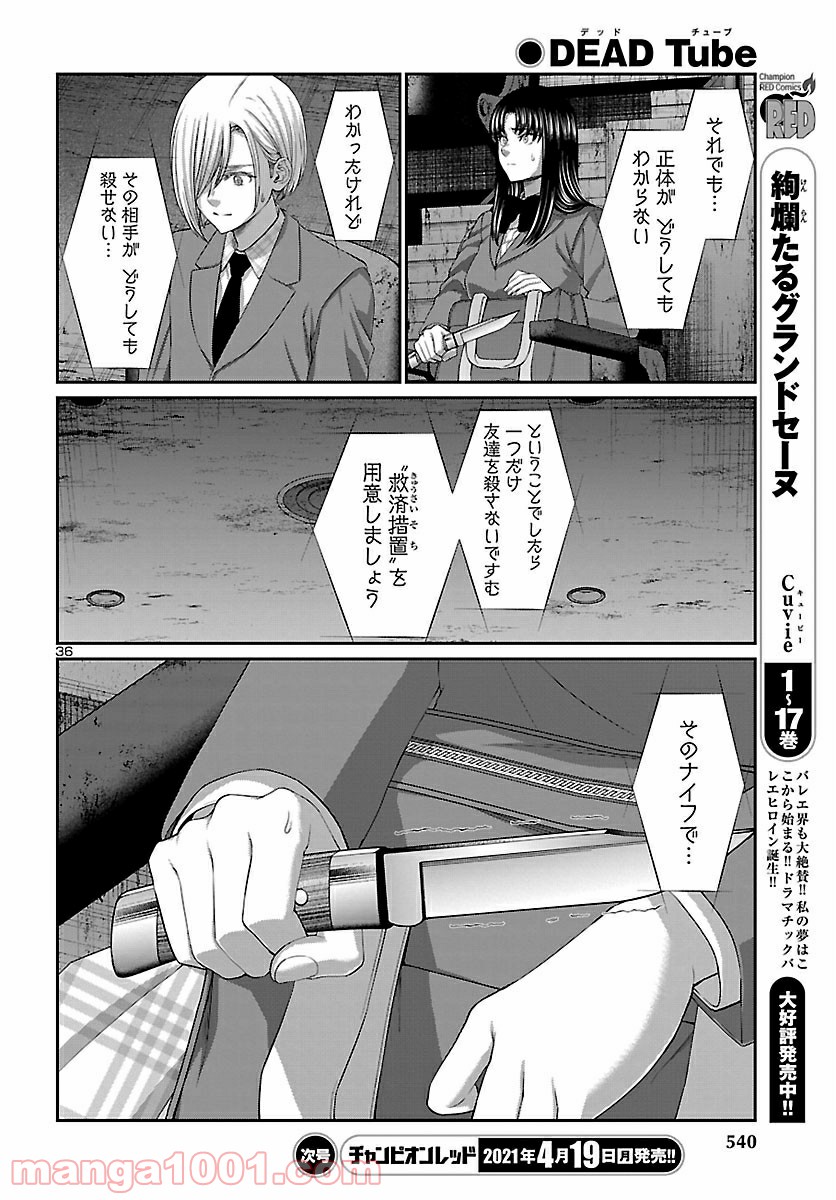 P36