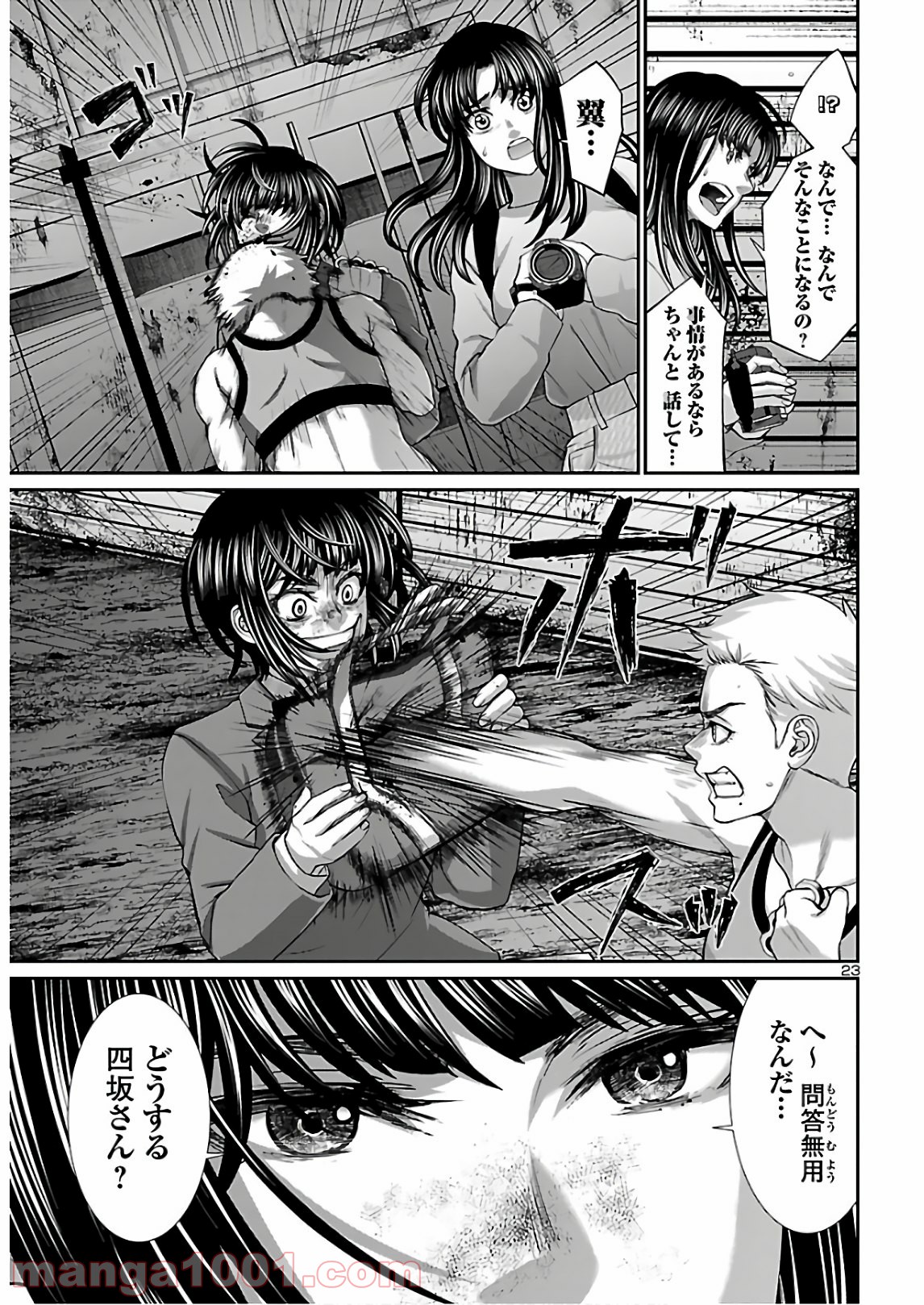 P23