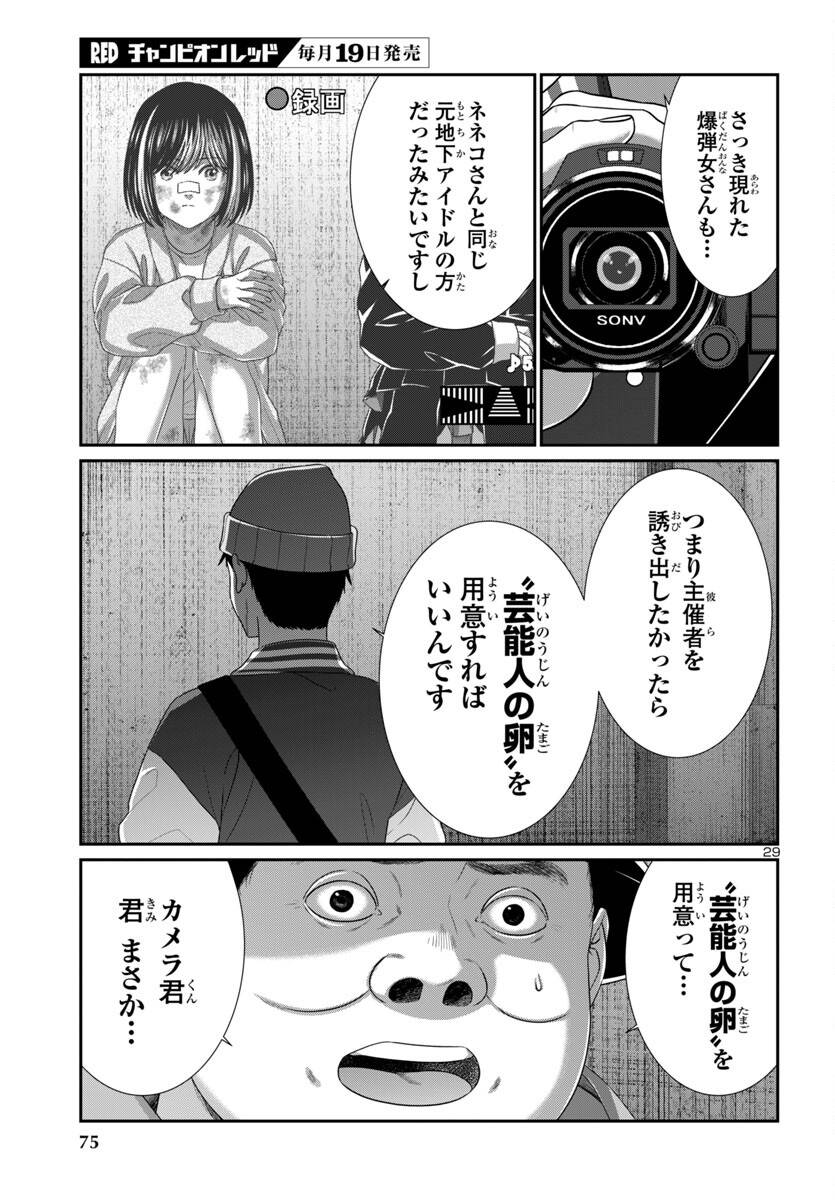 P29