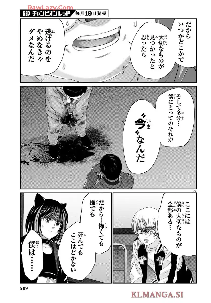 P23