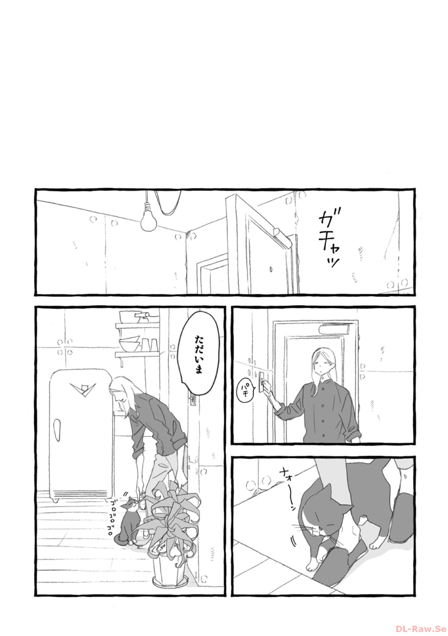 P41
