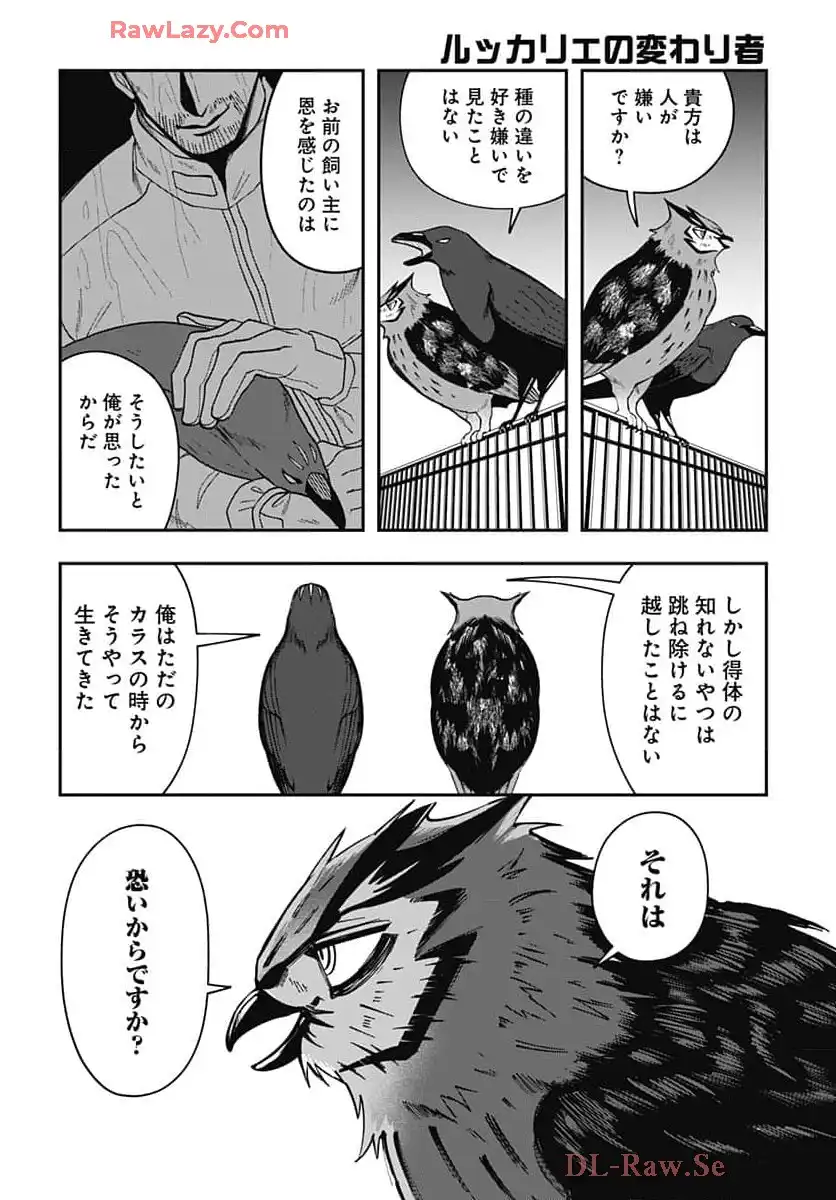P26