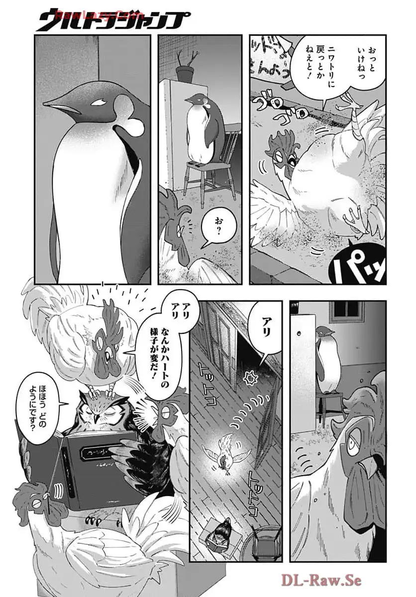 P23