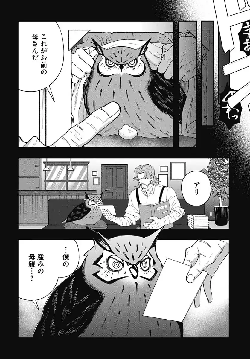 P8