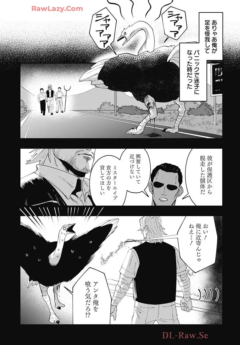 P41