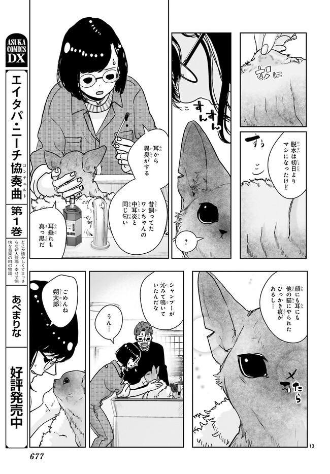 P13