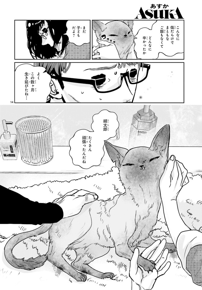 P14