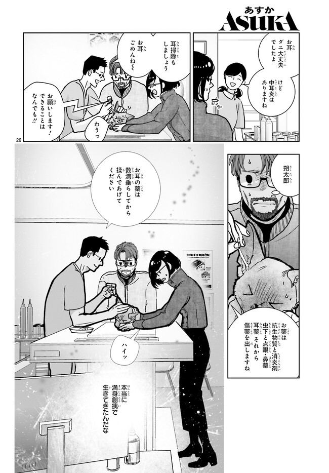 P26