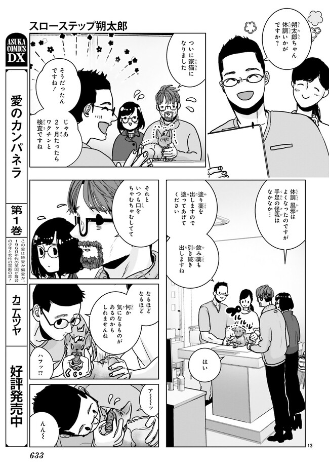 P13