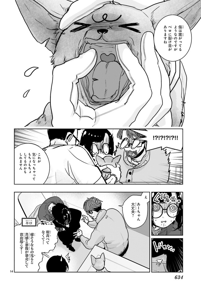 P14
