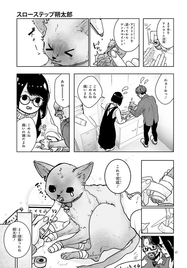 P17