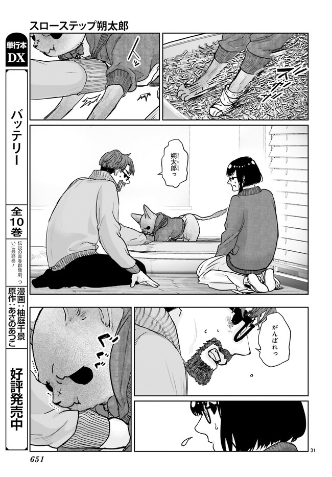 P31