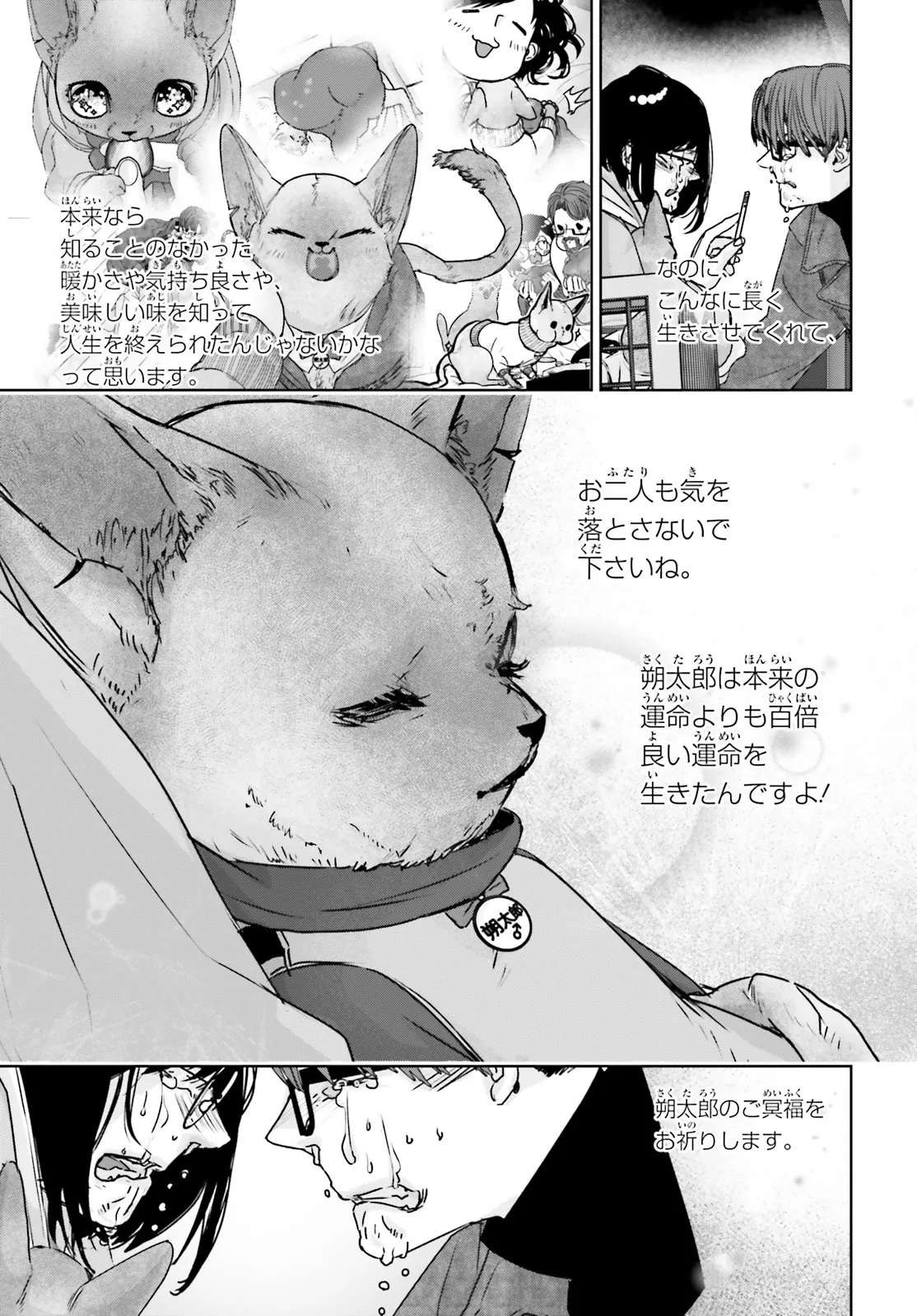 P27